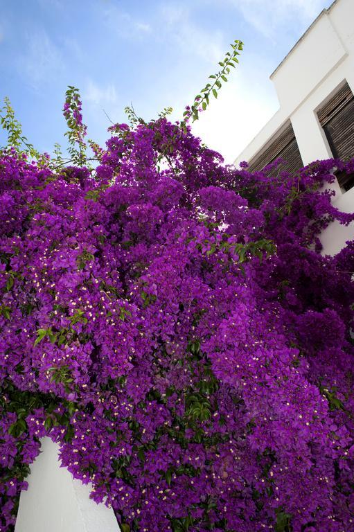 Haspeyma Otel Bodrum Exterior foto
